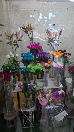 عکس سرای گلرخ دانژه