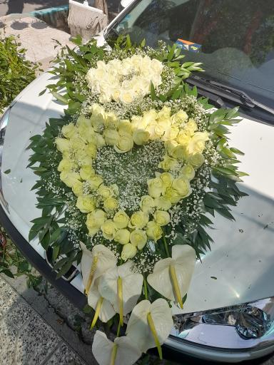 عکس سرای گلرخ دانژه