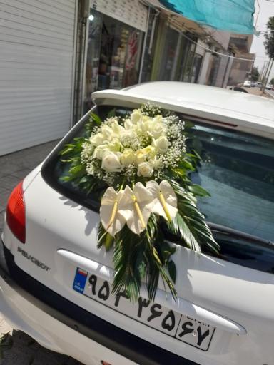 عکس سرای گلرخ دانژه