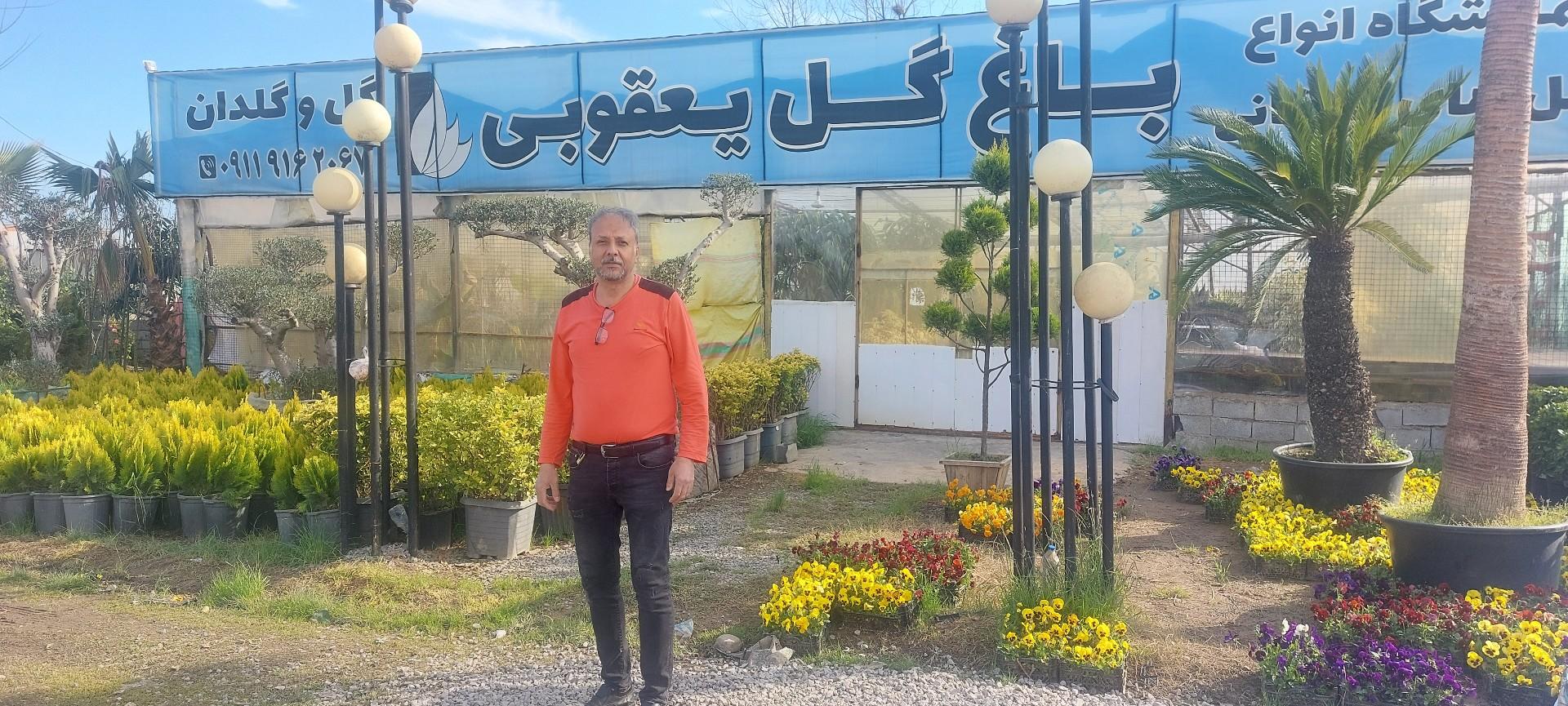 عکس باغ گل یعقوبی