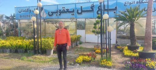 عکس باغ گل یعقوبی