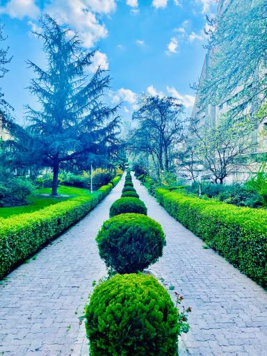 عکس شهرک مسکونی آتی ساز