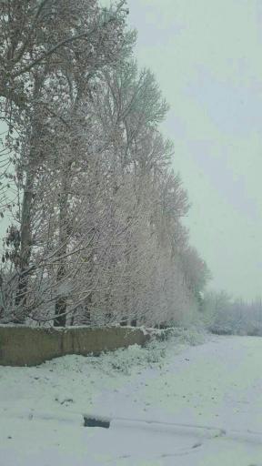 عکس رضی آباد بالا