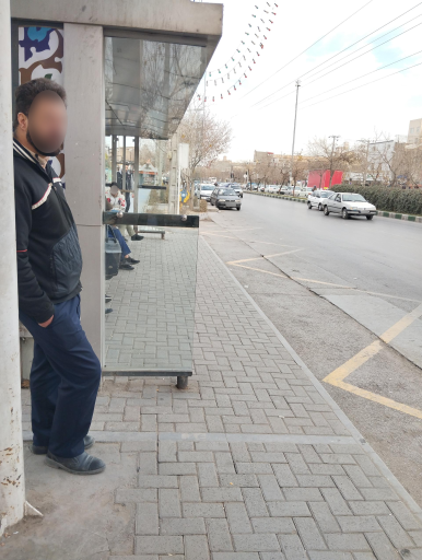 عکس  طبرسی شمالی 12