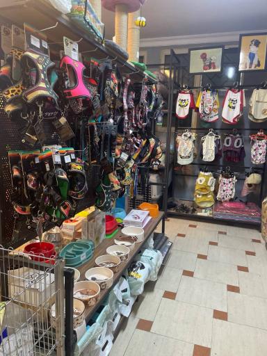 عکس پت شاپ و دامپزشکی پت لند