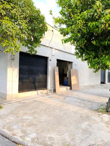 عکس پرس چوب سالاری 