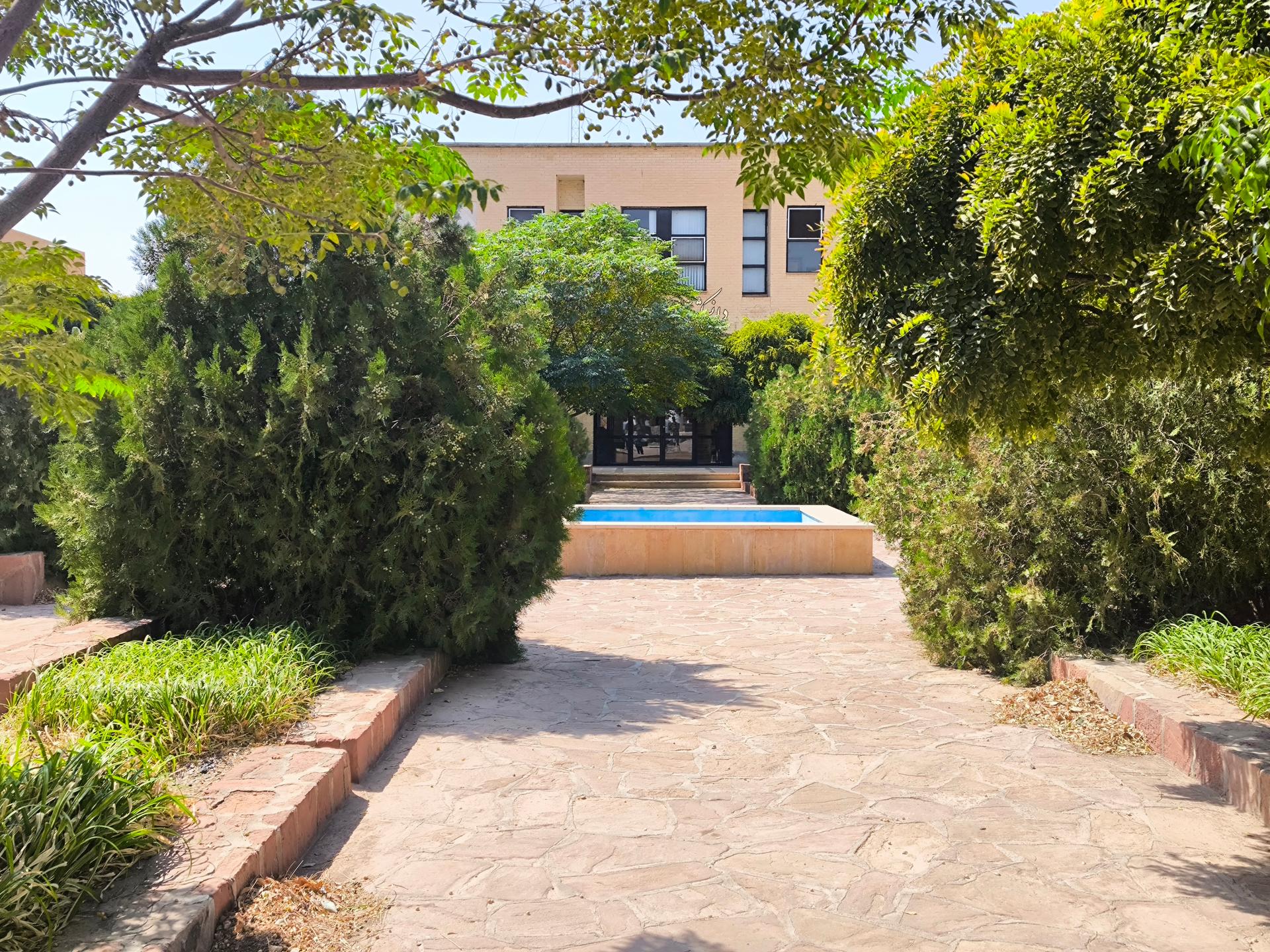 عکس فضای سبز