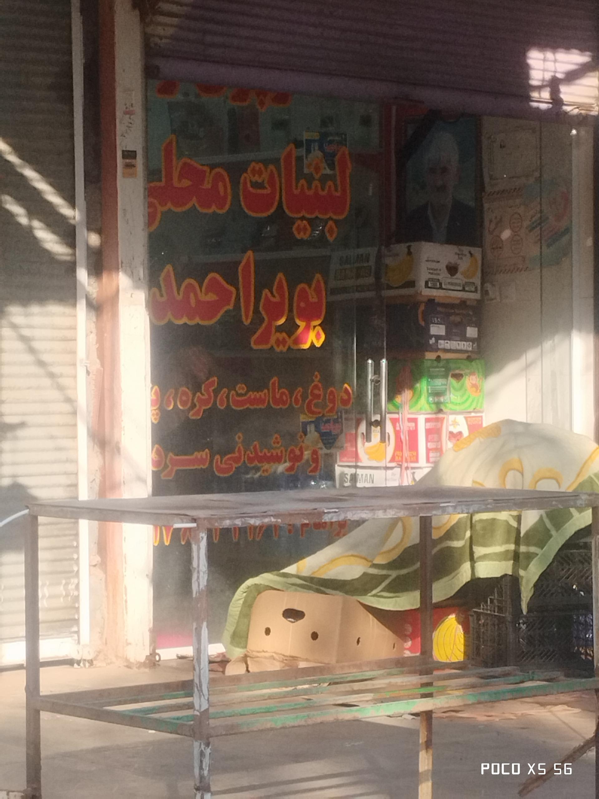 عکس لبنیات بویراحمد