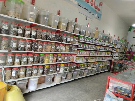 عکس گیاهکده سید