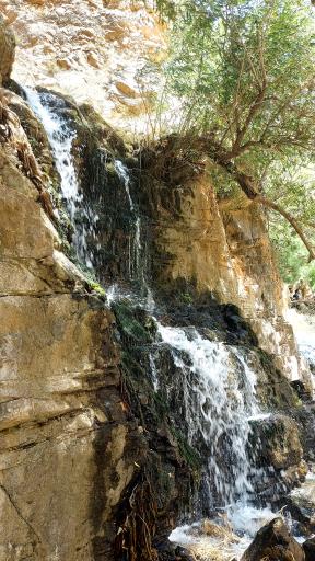 عکس مجموعه گردشگری باغ رستم بهشت‌آباد