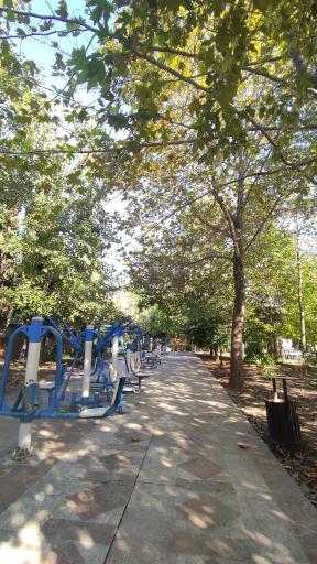 عکس پارک شمس