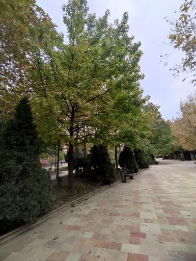 عکس پارک شمس