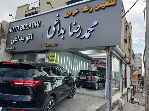 عکس تشخیص رنگ خودرو محمدرضا بداغی