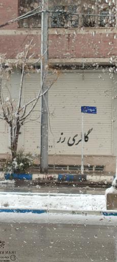 عکس فروشگاه گالری رز 