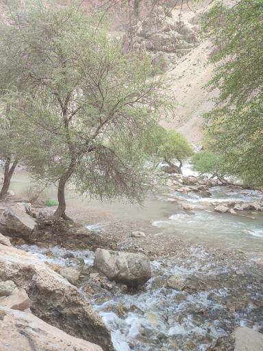 عکس مجموعه گردشگری باغ رستم بهشت‌آباد