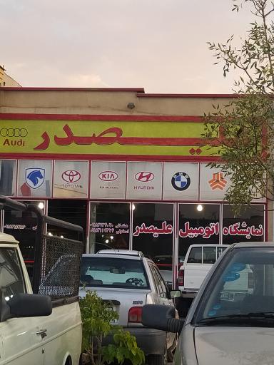 عکس اتو گالری علیصدر 