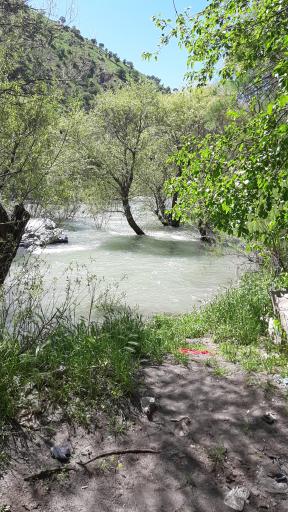 عکس رودخانه سیروان