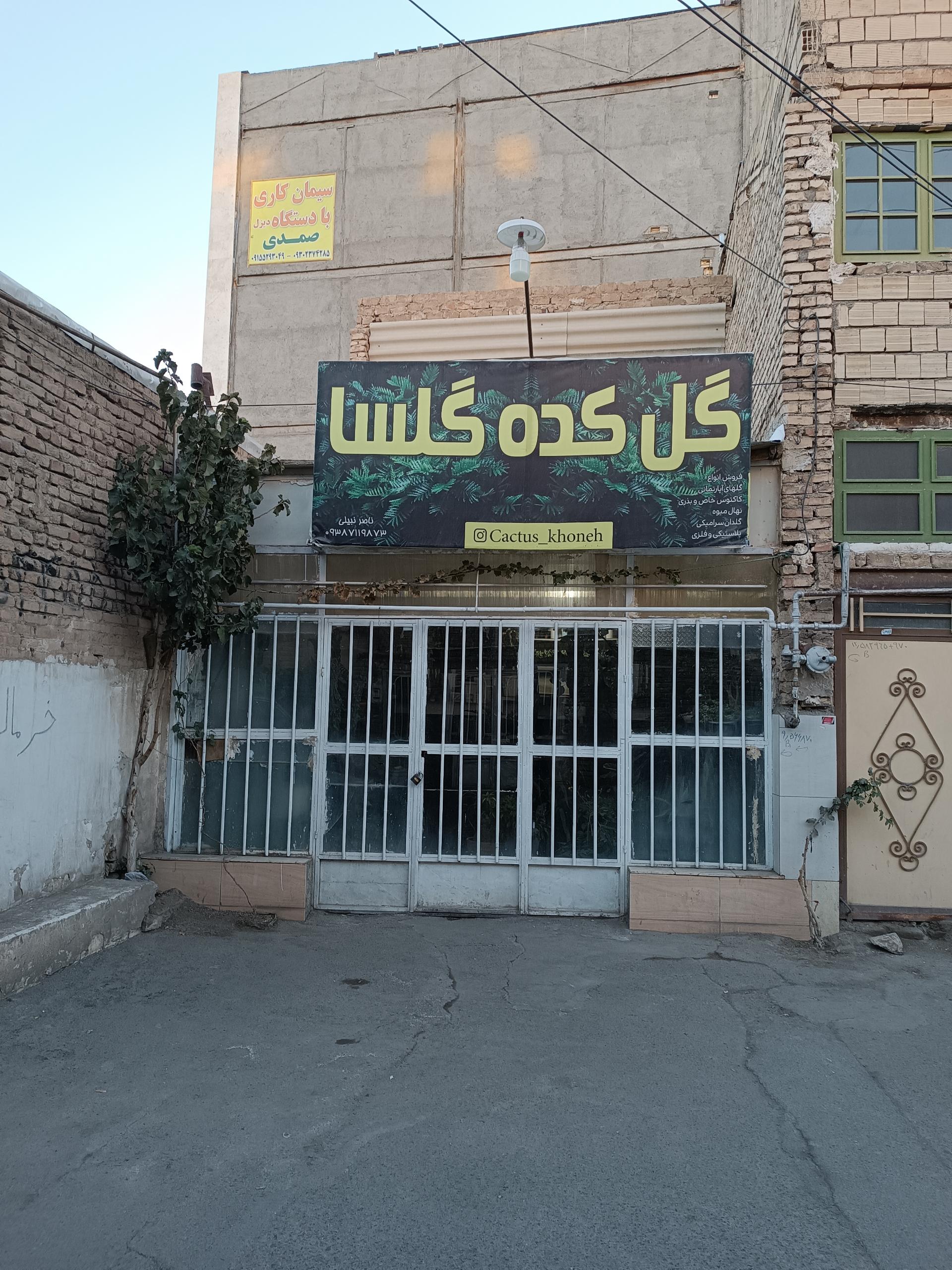 عکس گل کده گلسا