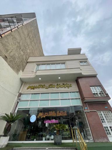 عکس دپارتمان ملکی کالادیوم