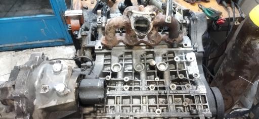 عکس جوش آرگون علیسان 