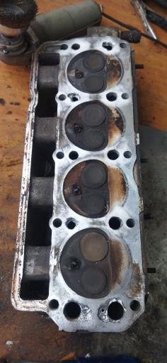 عکس جوش آرگون علیسان 