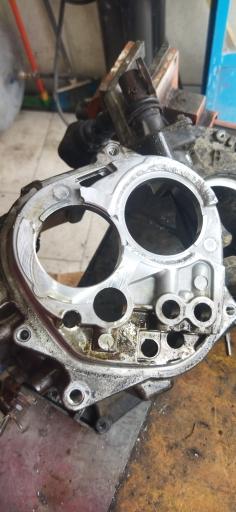 عکس جوش آرگون علیسان 