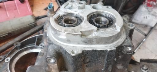 عکس جوش آرگون علیسان 