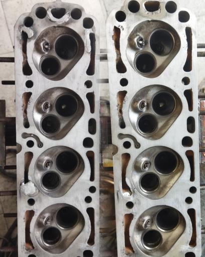 عکس جوش آرگون علیسان 