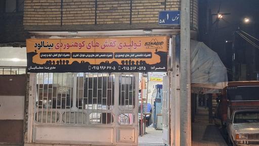 عکس کفش بینالود