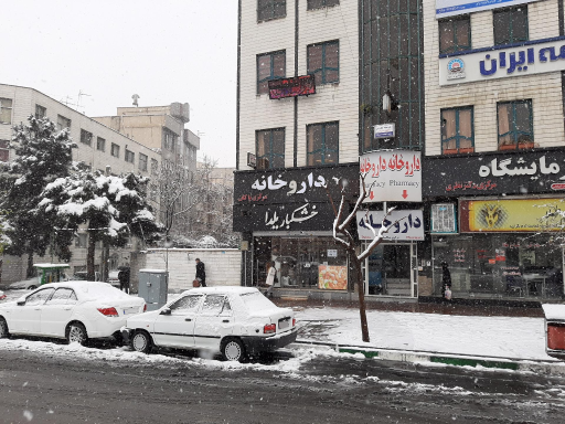 عکس خشکبار یلدا