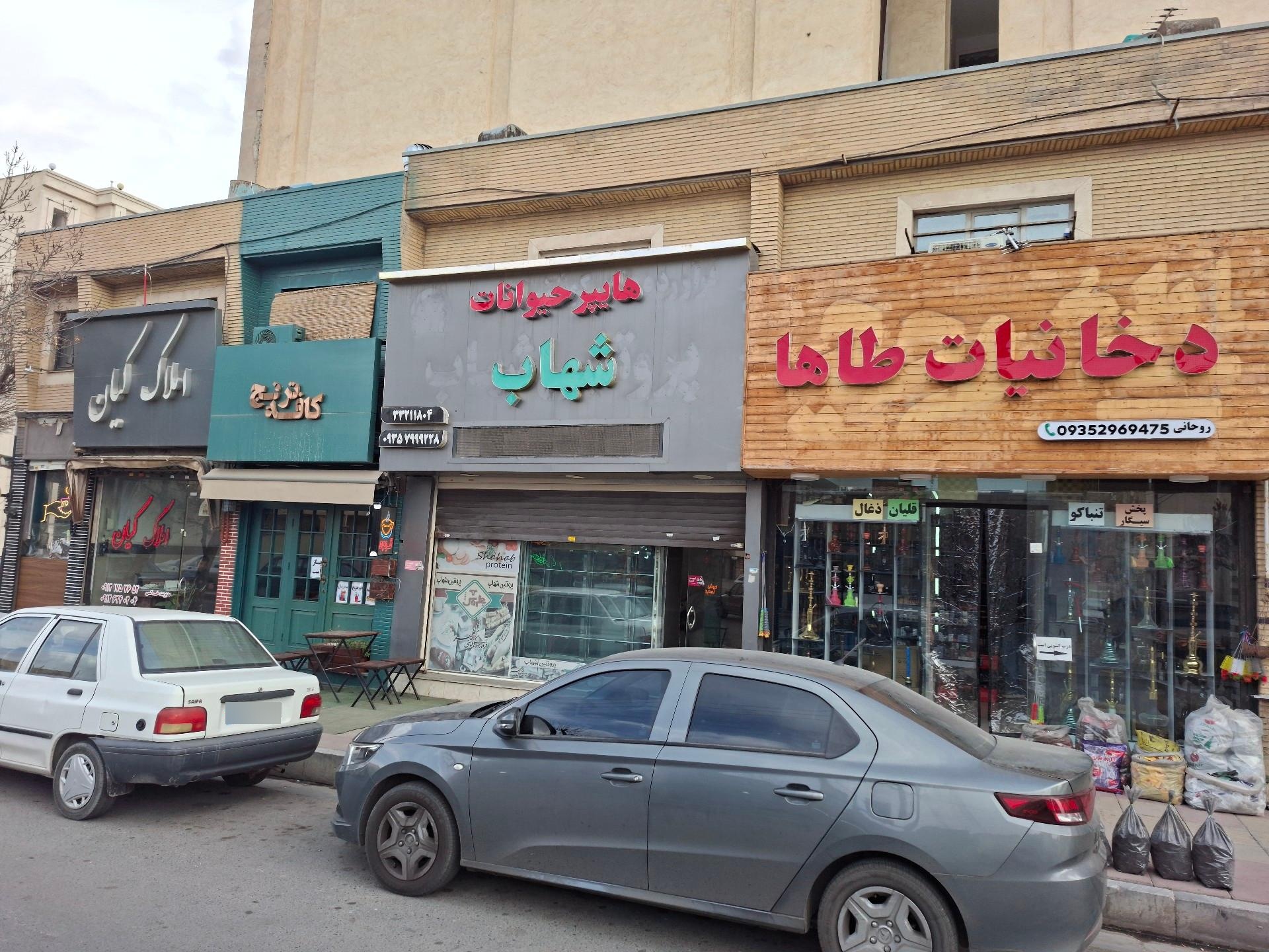 عکس هایپر حیوانات شهاب