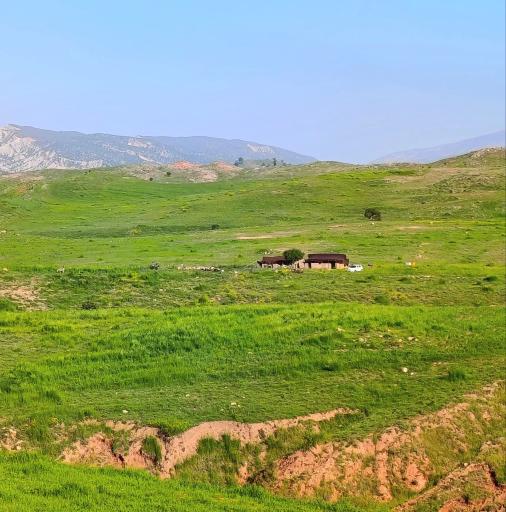 عکس میمه