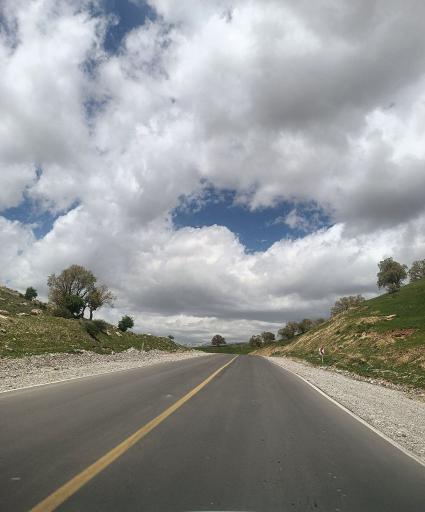 عکس میمه