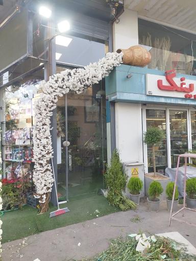 گل اسپرینگ