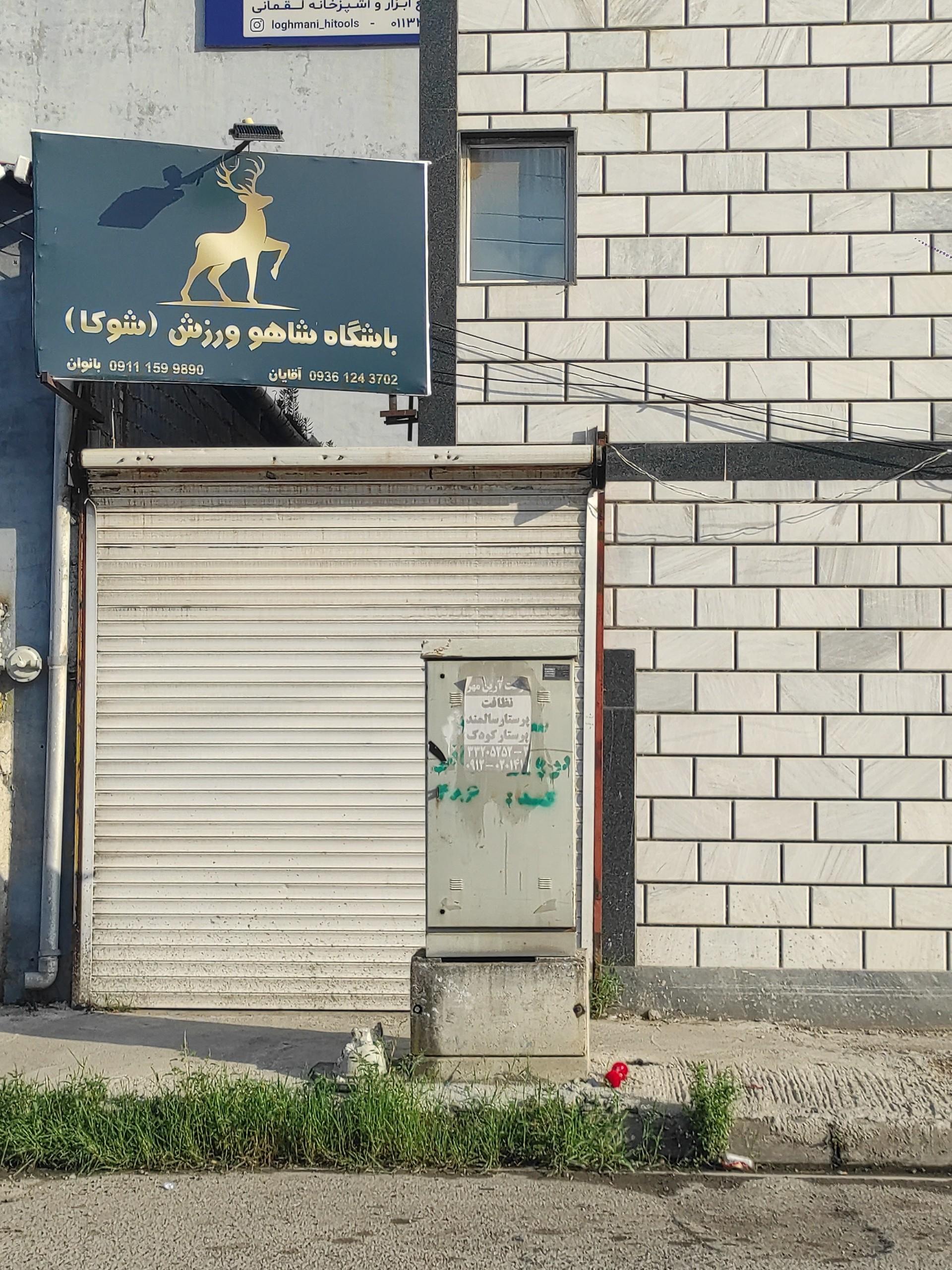 عکس باشگاه شاهو ورزش (شوکا)