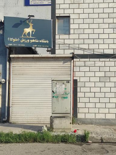 عکس باشگاه شاهو ورزش (شوکا)
