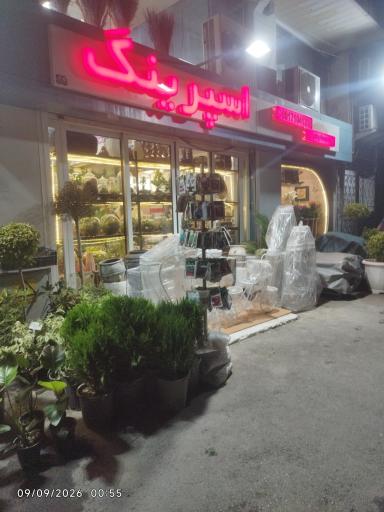 عکس گل اسپرینگ