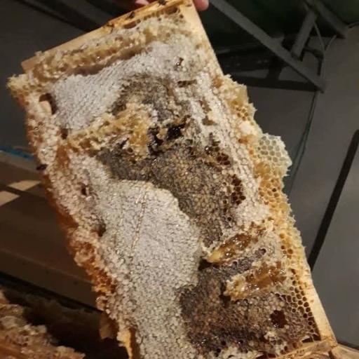 عکس عسل فروشی