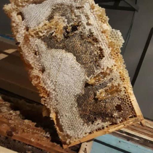 عکس عسل فروشی