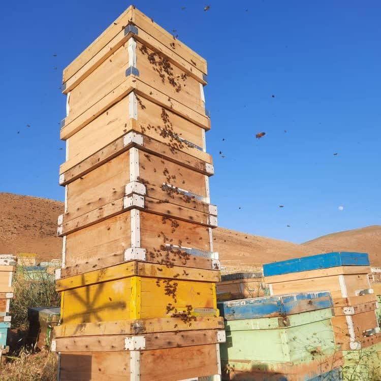 عکس عسل فروشی