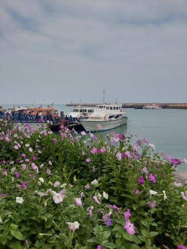 عکس ورودی اسکله شهید ذاکری قشم