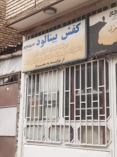 کفش بینالود