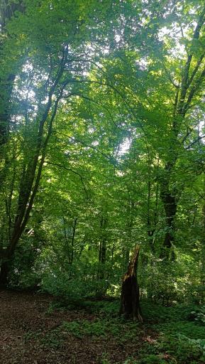 عکس تفریحگاه سِرخ اُ 