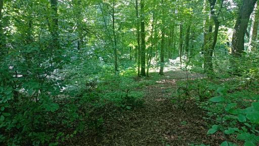 عکس تفریحگاه سِرخ اُ 