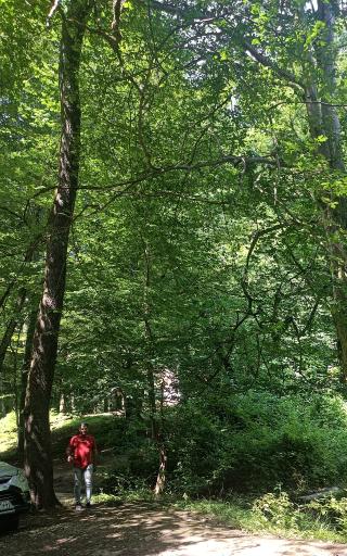 عکس تفریحگاه سِرخ اُ 