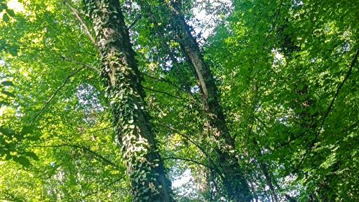 عکس تفریحگاه سِرخ اُ 