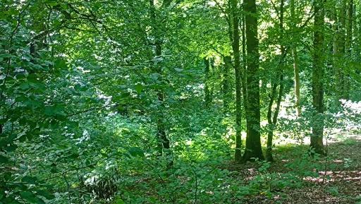 عکس تفریحگاه سِرخ اُ 