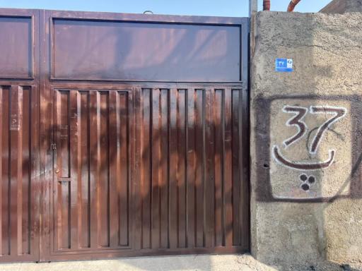 عکس گل پنبه