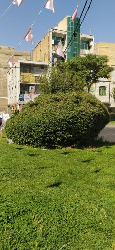 عکس میدان شهرداری