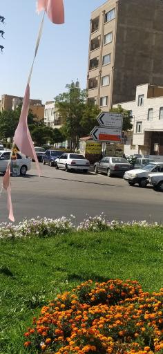 عکس میدان شهرداری